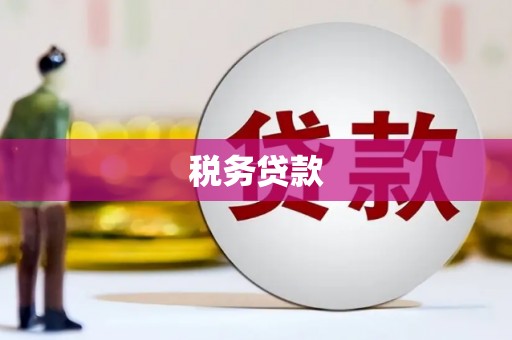 巩留税务贷款