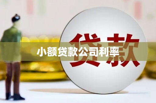 巩留小额贷款公司利率
