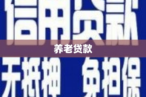 巩留养老贷款