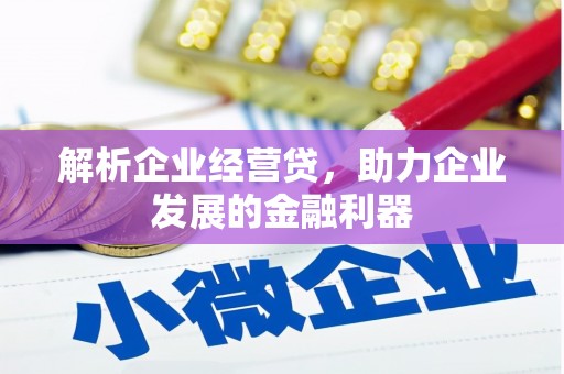 巩留解析企业经营贷，助力企业发展的金融利器