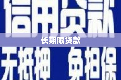 巩留长期限贷款