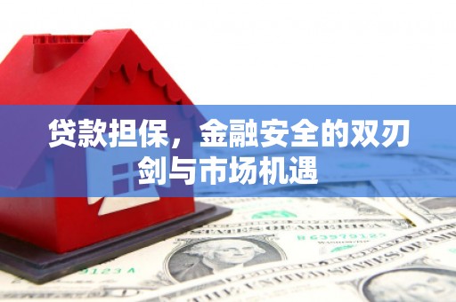 巩留贷款担保，金融安全的双刃剑与市场机遇