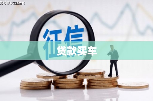 巩留贷款买车