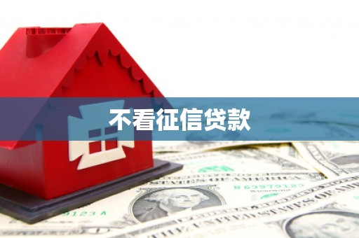 巩留不看征信贷款