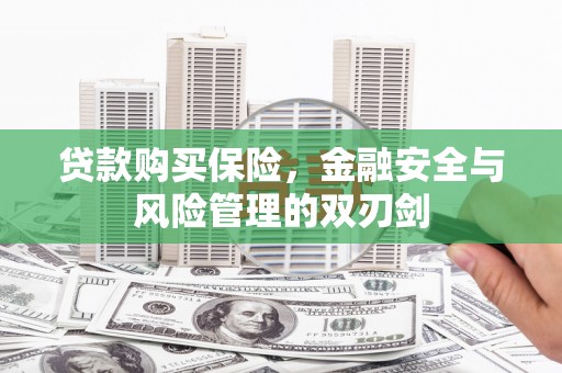 巩留贷款购买保险，金融安全与风险管理的双刃剑
