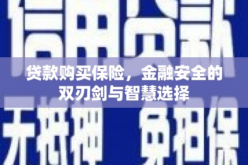 巩留贷款购买保险，金融安全的双刃剑与智慧选择
