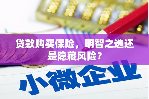 巩留贷款购买保险，明智之选还是隐藏风险？