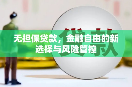 巩留无担保贷款，金融自由的新选择与风险管控