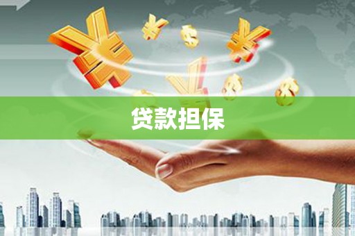 巩留贷款担保
