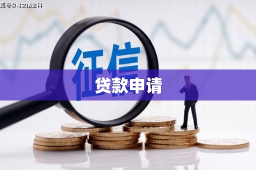 巩留贷款申请
