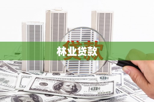 巩留林业贷款