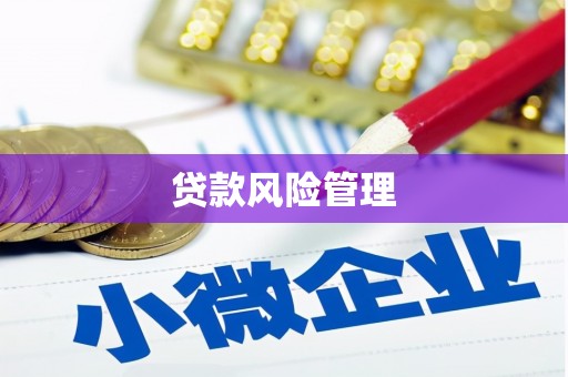 巩留贷款风险管理