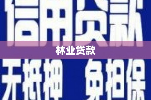 巩留林业贷款