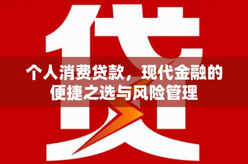 巩留个人消费贷款，现代金融的便捷之选与风险管理