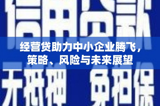 巩留经营贷助力中小企业腾飞，策略、风险与未来展望
