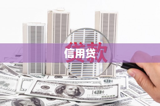 巩留信用贷