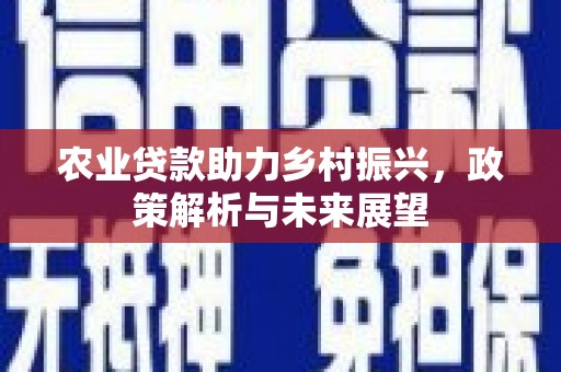 巩留农业贷款助力乡村振兴，政策解析与未来展望