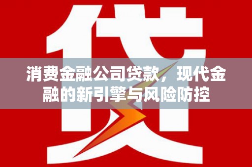 巩留消费金融公司贷款，现代金融的新引擎与风险防控