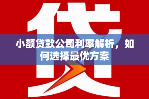 巩留小额贷款公司利率解析，如何选择最优方案