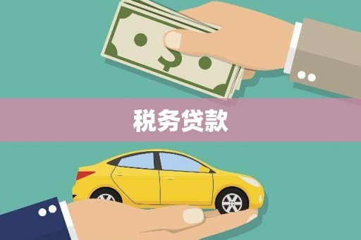 巩留税务贷款