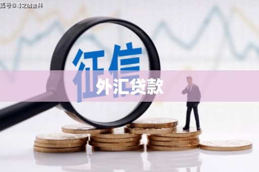巩留外汇贷款