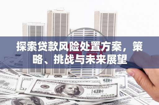 巩留探索贷款风险处置方案，策略、挑战与未来展望