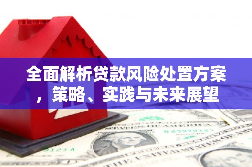 巩留全面解析贷款风险处置方案，策略、实践与未来展望