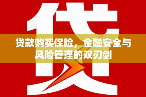 巩留贷款购买保险，金融安全与风险管理的双刃剑