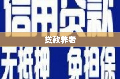巩留贷款养老