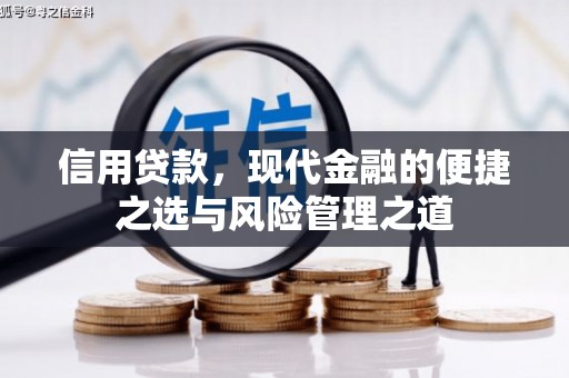 巩留信用贷款，现代金融的便捷之选与风险管理之道