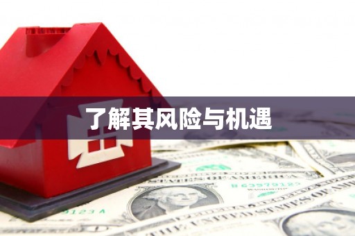 巩留了解其风险与机遇