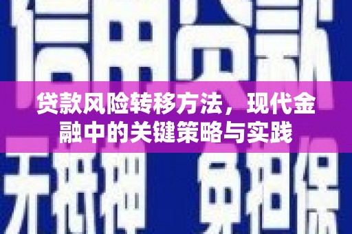 巩留贷款风险转移方法，现代金融中的关键策略与实践