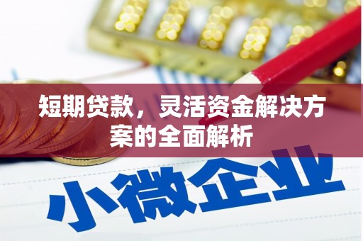 巩留短期贷款，灵活资金解决方案的全面解析