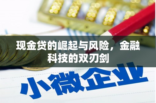 巩留现金贷的崛起与风险，金融科技的双刃剑