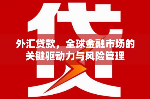 巩留外汇贷款，全球金融市场的关键驱动力与风险管理