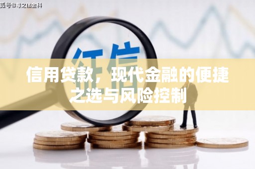 巩留信用贷款，现代金融的便捷之选与风险控制