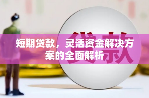 巩留短期贷款，灵活资金解决方案的全面解析