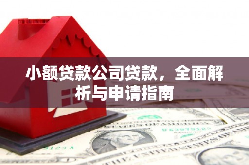 巩留小额贷款公司贷款，全面解析与申请指南