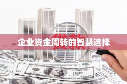 巩留企业资金周转的智慧选择