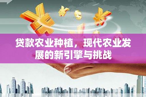 巩留贷款农业种植，现代农业发展的新引擎与挑战