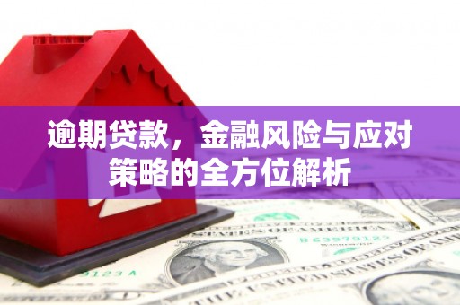 巩留逾期贷款，金融风险与应对策略的全方位解析