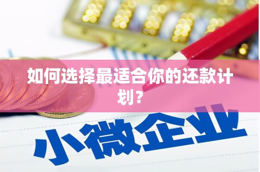 巩留如何选择最适合你的还款计划？
