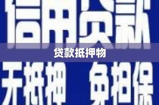 巩留贷款抵押物