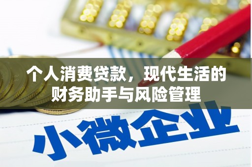 巩留个人消费贷款，现代生活的财务助手与风险管理
