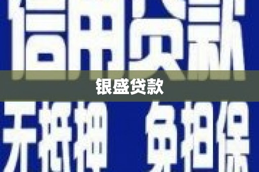 巩留银盛贷款