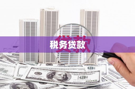 巩留税务贷款