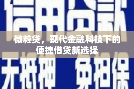 巩留微粒贷，现代金融科技下的便捷借贷新选择