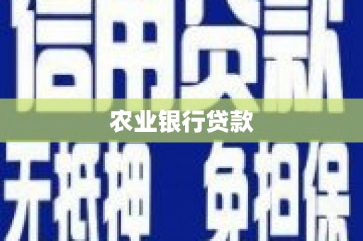 巩留农业银行贷款