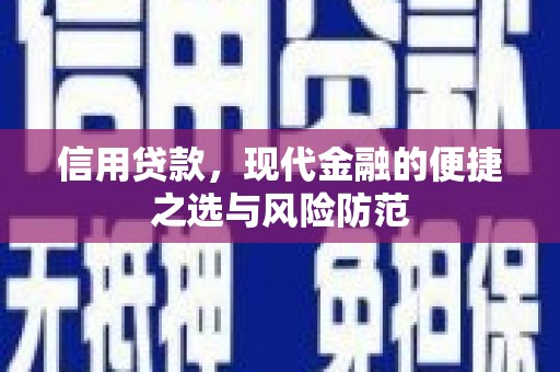巩留信用贷款，现代金融的便捷之选与风险防范