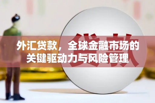 巩留外汇贷款，全球金融市场的关键驱动力与风险管理
